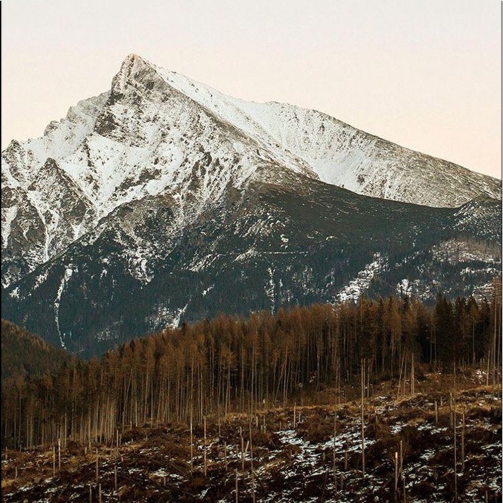 Meet your Posher, Izzy